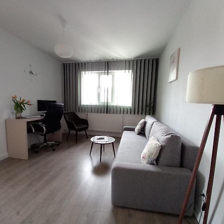 4 Seasons Apartments Bistriţa エクステリア 写真