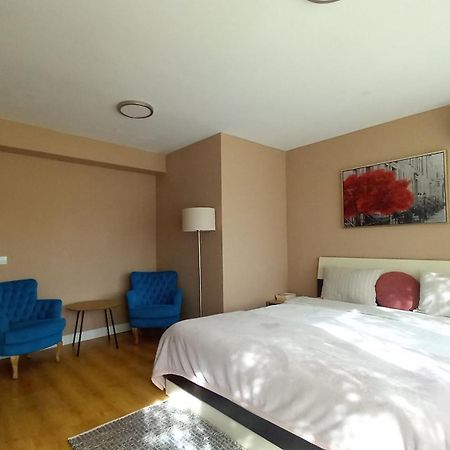 4 Seasons Apartments Bistriţa エクステリア 写真
