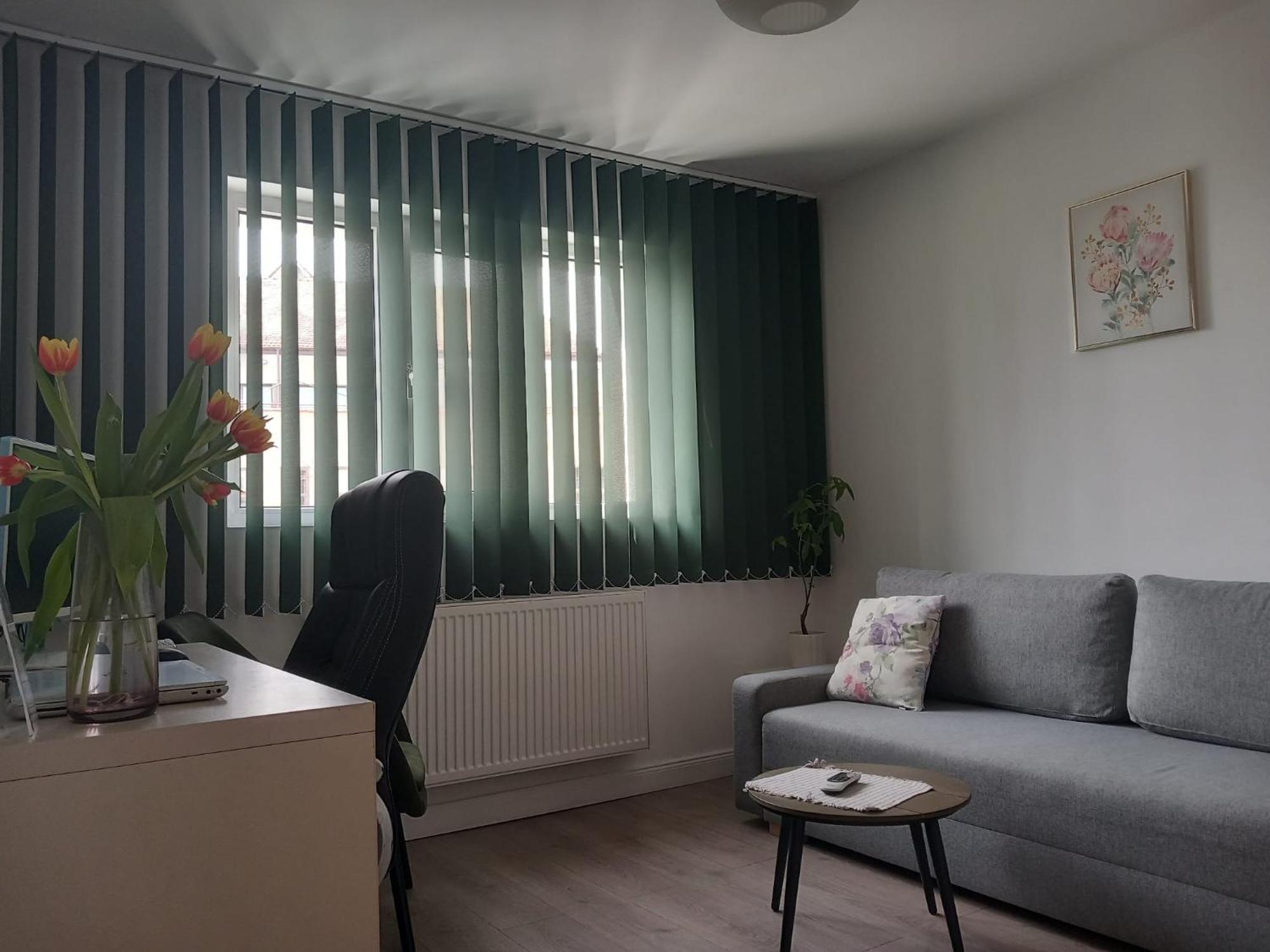 4 Seasons Apartments Bistriţa エクステリア 写真